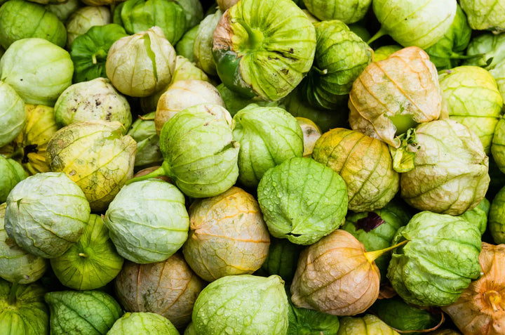 Cream Tomatillo Fruit Seeds - Tangy Fruit for Salsa and Sauces  100 pcs