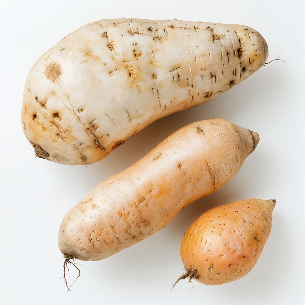 Cream Sweet Potato Vegetable Seeds for Planting