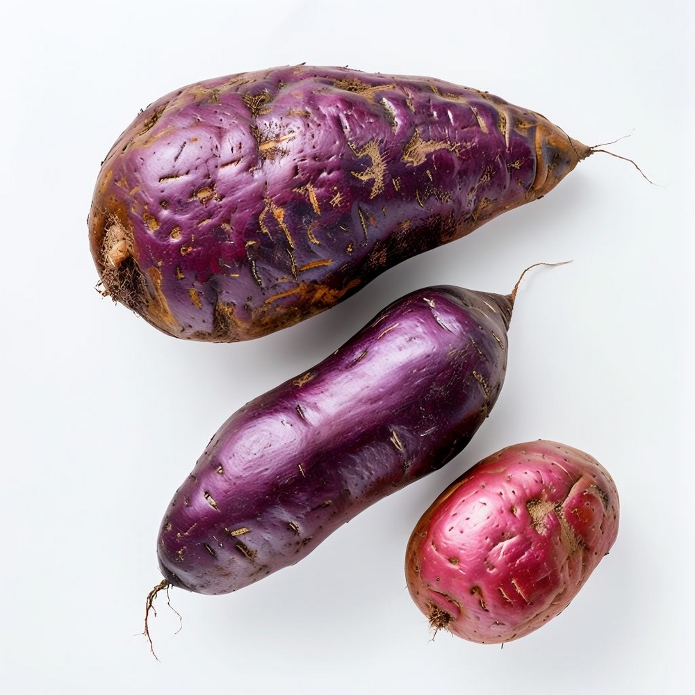 Dark Violet Sweet Potato Vegetable Seeds for Planting