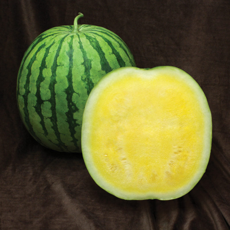 Buttercup Watermelon Fruit Seeds for Planting - Growing Refreshing and Sweet Watermelons