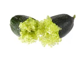 Alstonville Finger Lime Fruit Seeds for Planting