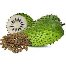 Annona muricata (Sirsak/Graviola/Guanabana) Fruit Seeds for Planting