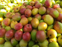 Apple Ber Ziziphus Fruit Seeds for Planting
