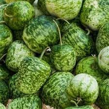 Apple Gourd Fruit Seeds for Planting