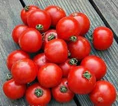 Arctic Plenty Fruit Seeds for Planting