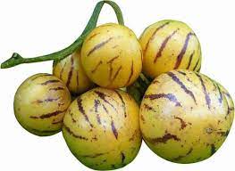 Asian Apple Melon Seeds for Planting