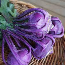 Azur Star Organic Glass Bowl Seeds for Planting