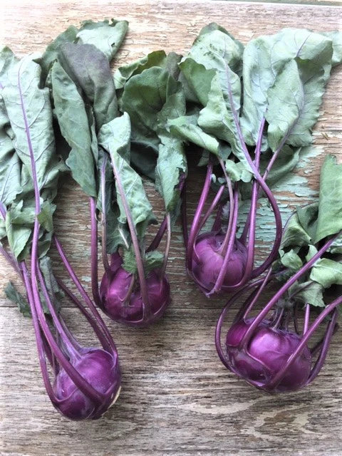 Azur Star Organic Glass Bowl Seeds for Planting