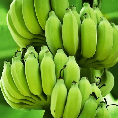 Green Banana Fruit Seeds for Planting - Growing Delicious and Nutritious Bananas