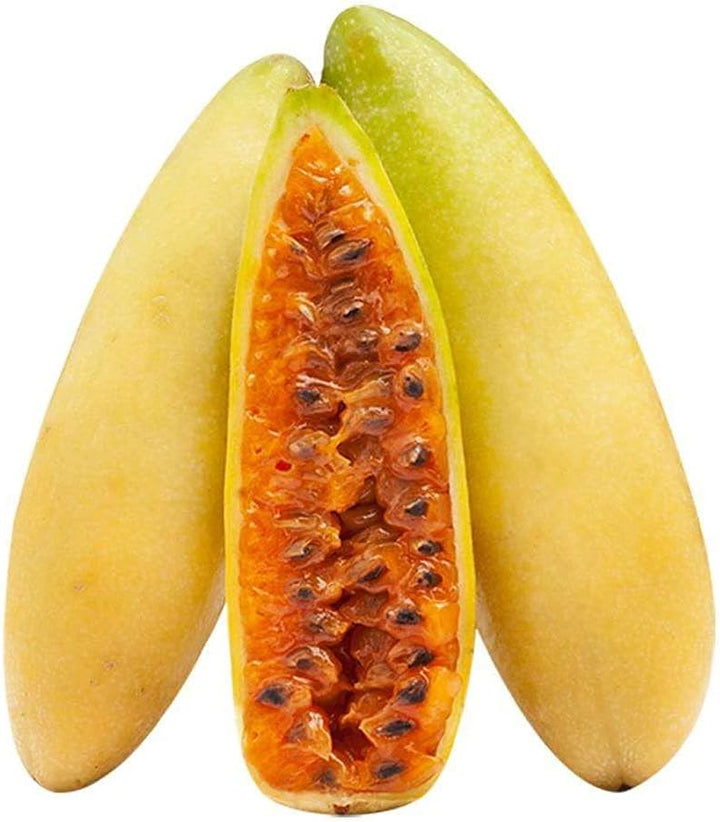 Banana Passion Fruit Seeds for Planting