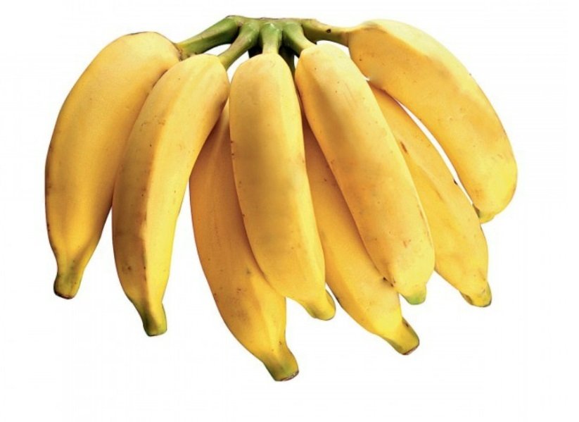 Pacovan Banana Fruit Seeds for Planting- Sweet, Exotic Bananas for Your Backyard