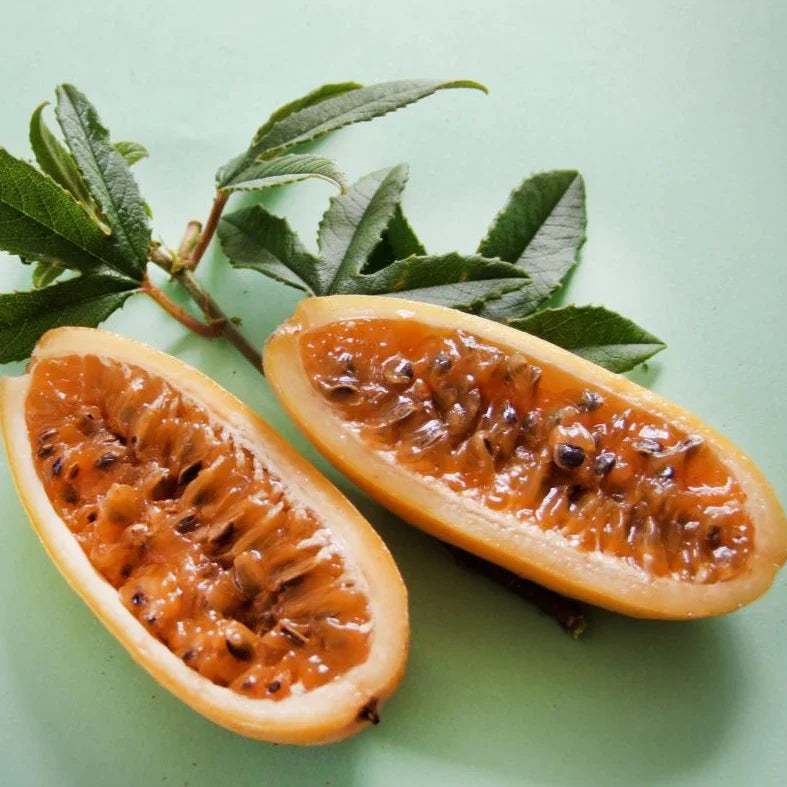 Orange Banana Passion Fruit Seeds for Planting - Sweet and Tangy Tropical Fruit for Your Garden