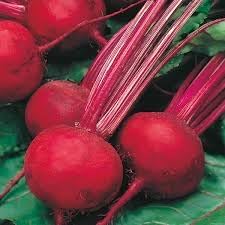 Beetroot Seeds