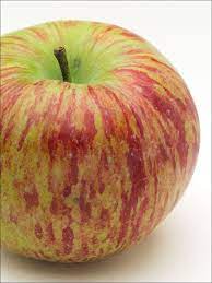 Bi-Color &amp; Striped Apple Fruit Seeds