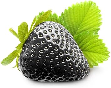 Black Strawberry Fruit Seeds for Planting