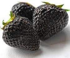 Black Strawberry Fruit Seeds for Planting