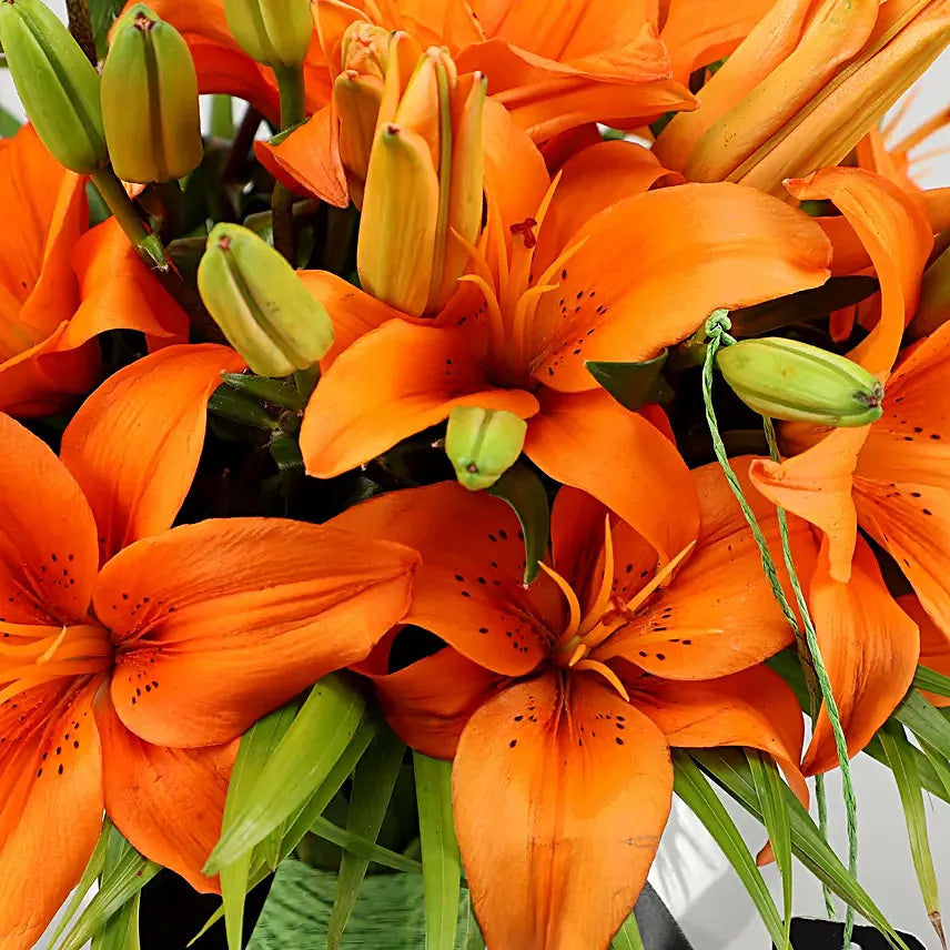 blue orange flower seeds