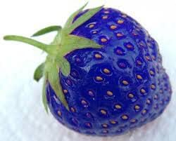 Blue Strawberry Fruit Seeds for Planting