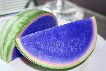 Blue Watermelon Fruit Seeds for Planting