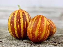 Breast Melon Plant Seeds for Planting