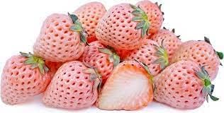 Bright Orange Strawberry Fruit Seeds