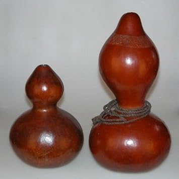 Brown Gourd Calabash Bottle Seeds for Planting