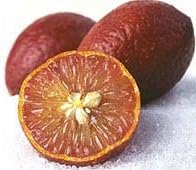 Brown Lemon Fruit Seeds for Planting