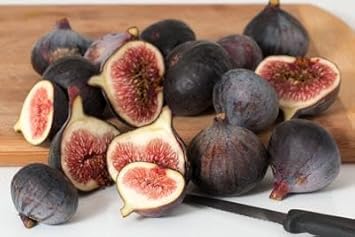 Brown Lemon Fruit Seeds for Planting