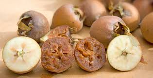 Brown Medlar (Mespilus germanica) Fruit Seeds