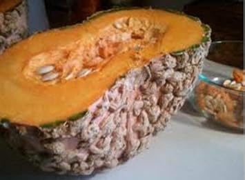 Brown Pumpkin Fruit Seeds
