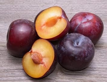 Burgundy Alubukhara (Plum) Fruit Seeds for Planting