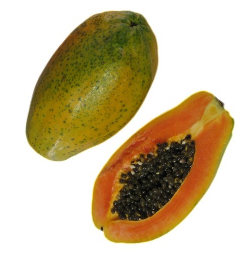 Grønne Papaya Frugtfrø - Tropisk og nærende frugt til din have 100 stk