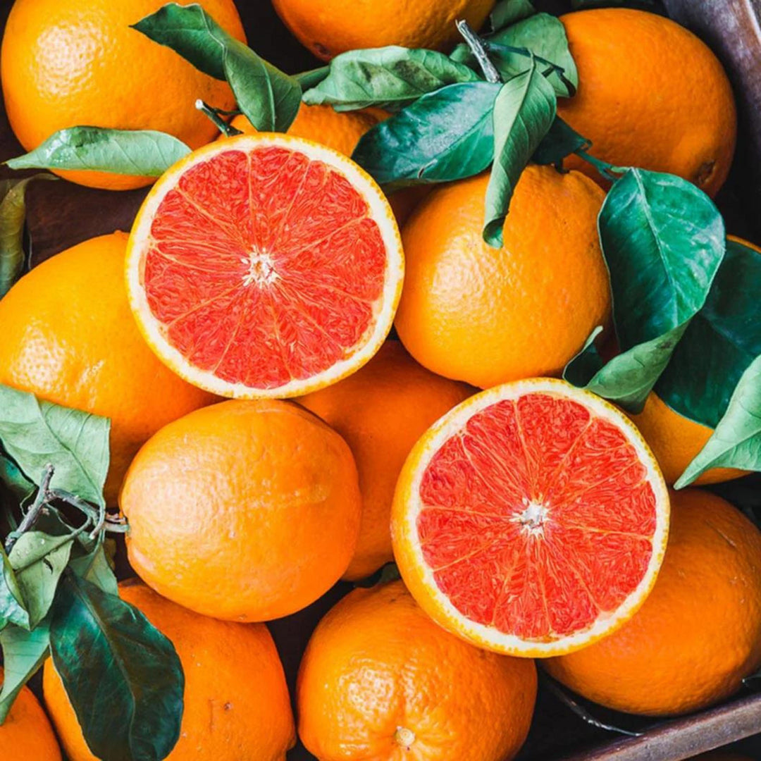Cara Cara Navel Orange Fruit Seeds