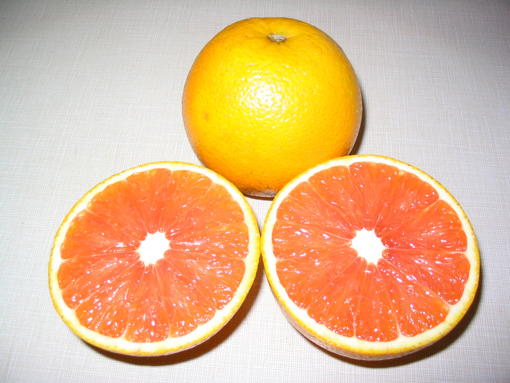 Cara Cara Navel Orange Fruit Seeds