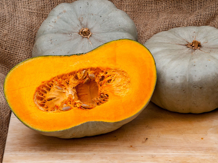 Centner Nelson Pumpkin Seeds for Planting