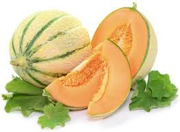 Charentais Muskmelon Fruit Seeds for Planting