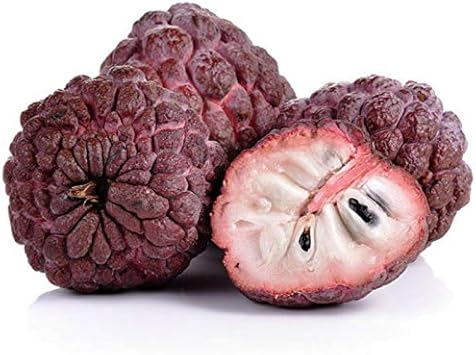Chirimoya Roja Fruit Seed Set | Grow Sweet, Unique Tropical Fruits