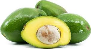 Choquette Avocado Fruit Seeds for Planting