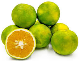 Citrus Limetta Fruit Seeds for Planting