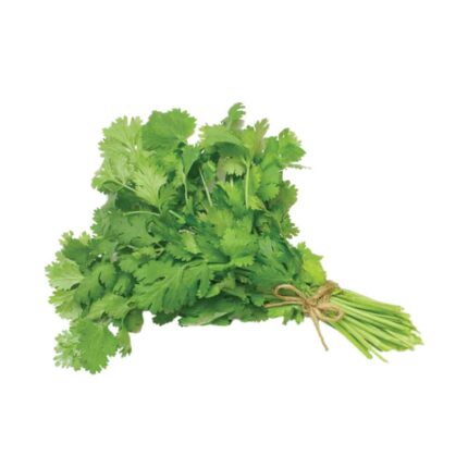 Green Coriander Vegetable Seeds for Planting