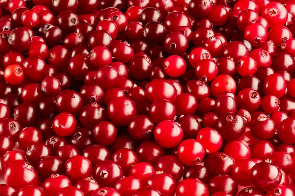 Cranberry Fruit Seeds for Planting