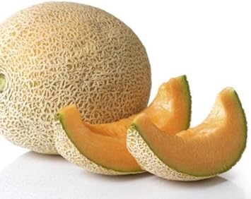 Cream Yellow Cantaloupe Fruit Seeds