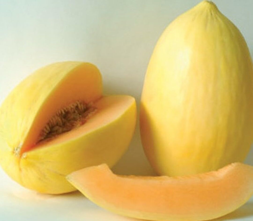 Crenshaw Melon Seeds