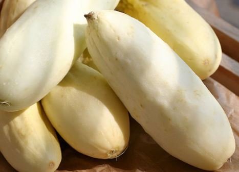 Cucumber Redlands Long White Vegetable Seeds for Planting – Heirloom, Non-GMO, High Germination Garden Seeds
