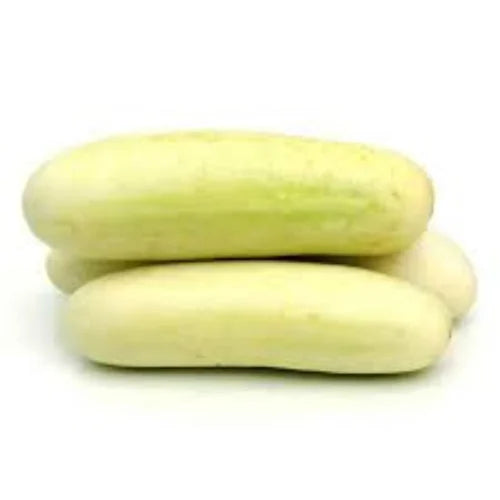 Indian White Cucumber Seeds for Planting – Heirloom, Non-GMO, High-Yield Vegetable Seeds for Home Garden