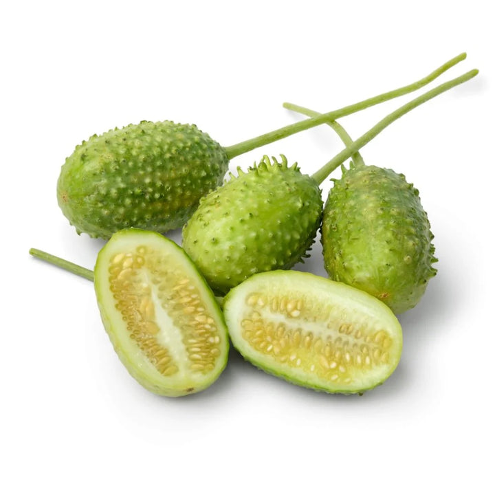 Wild or West Indian Gherkin Cucumber Seeds for Planting - Heirloom & Non-GMO Garden Seeds