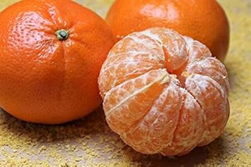 Dark Orange Fruit Seeds for Planting