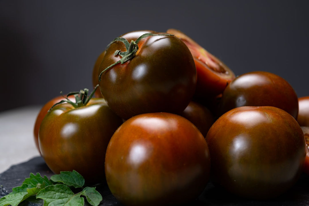 Tomatfrø til udplantning, mørkebrune, 100 stk