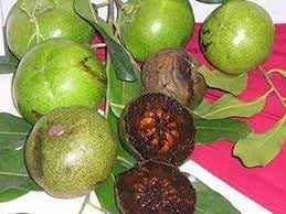 Digyna Fruit Seeds