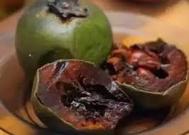 Diospyros Digyna Chocolate Pudding Fruit Seeds